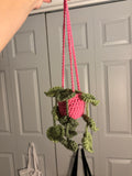 Crochet Hanging Plant Basket (Small) Decorative Wall Hanging, Home Decor, Plant Lovers