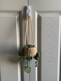 Crochet Hanging Plant Basket (Large) Decorative Wall Hanging, Home Decor, Plant Lovers